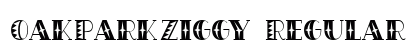 OakParkZiggy Regular preview