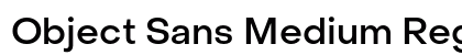 Object Sans Medium Regular Preview