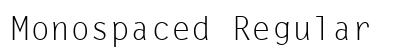 Monospaced Regular Preview