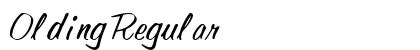 Olding Regular preview
