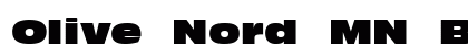 Olive Nord MN Bold preview