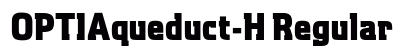 OPTIAqueduct-H Regular preview