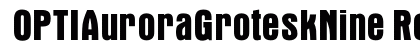 OPTIAuroraGroteskNine Regular preview