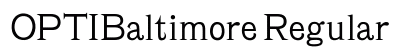 OPTIBaltimore Regular preview