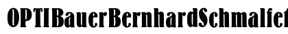 OPTIBauerBernhardSchmalfet Regular preview