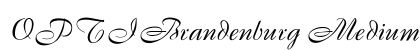 OPTIBrandenburg Medium preview