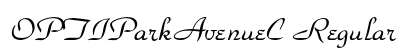 OPTIParkAvenueC Regular preview