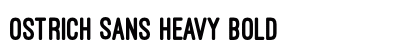 Ostrich Sans Heavy Bold preview