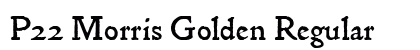 P22 Morris Golden Regular preview