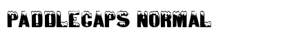 PaddleCaps Normal preview