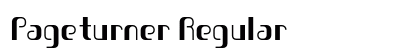Pageturner Regular Preview