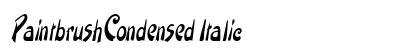 PaintbrushCondensed Italic Preview