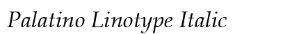 Palatino Linotype Italic Font