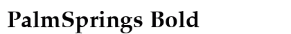 PalmSprings Bold preview