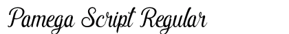 Pamega Script Regular preview