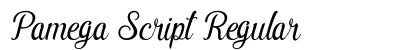 Pamega Script Regular preview
