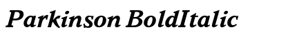 Parkinson BoldItalic Preview