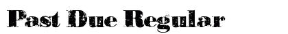 Past Due Regular preview