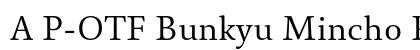 A P-OTF Bunkyu Mincho Pr6 R preview