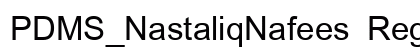 PDMS_NastaliqNafees Regular preview