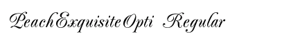 PeachExquisiteOpti Regular Preview