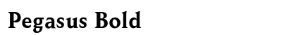 Pegasus Bold preview