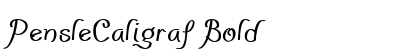 PensleCaligraf Bold preview