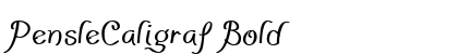 PensleCaligraf Bold preview