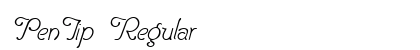 PenTip Regular preview