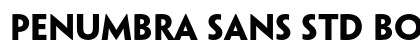 Penumbra Sans Std Bold preview