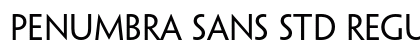 Penumbra Sans Std Regular Preview