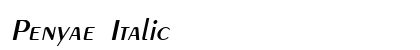 Penyae Italic Preview