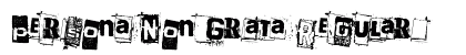 Persona Non Grata Regular preview