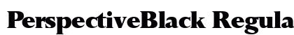 PerspectiveBlack Regular preview