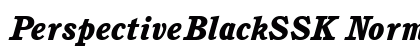 PerspectiveBlackSSK Normal Preview