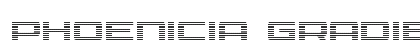 Phoenicia Gradient Regular preview