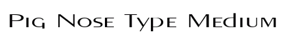 Pig Nose Type Medium preview