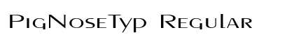 PigNoseTyp Regular Preview
