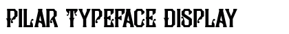 Pilar Typeface Display preview