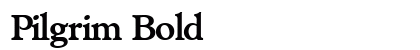 Pilgrim Bold preview