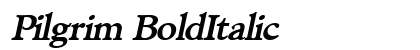 Pilgrim BoldItalic Preview