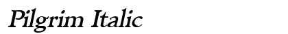 Pilgrim Italic Preview