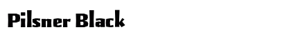 Pilsner Black preview