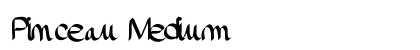 Pinceau Medium preview