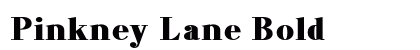 Pinkney Lane Bold preview