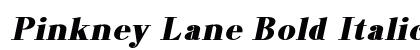 Pinkney Lane Bold Italic Preview