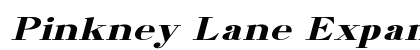 Pinkney Lane Expanded Italic Preview