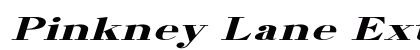 Pinkney Lane Extra-expanded Italic Preview