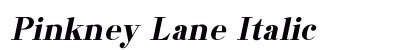 Pinkney Lane Italic Preview