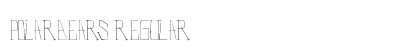 PolarBears Regular preview